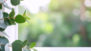 3月の香り「Clear Green」花粉の季節を心地よく過ごすために